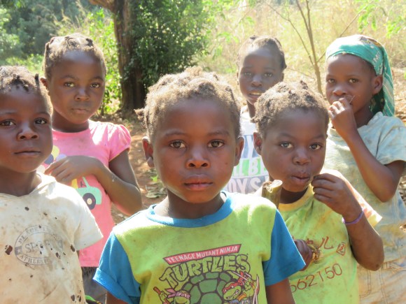 Namadoe Agro Agosto 19 (208)