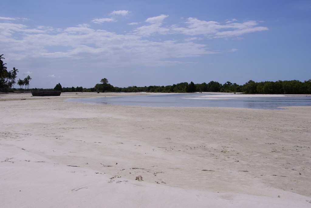 This image has an empty alt attribute; its file name is igp6290.jpg